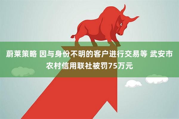 蔚莱策略 因与身份不明的客户进行交易等 武安市农村信用联社被罚75万元