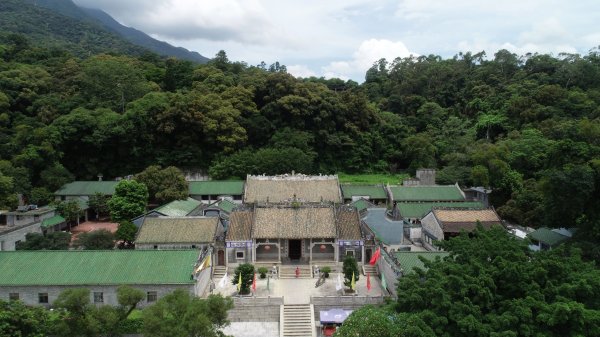 无忧配 广东唯一！惠州“冲虚古观·古九里香”入选
