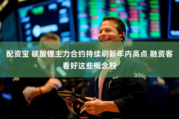 配资宝 碳酸锂主力合约持续刷新年内高点 融资客看好这些概念股