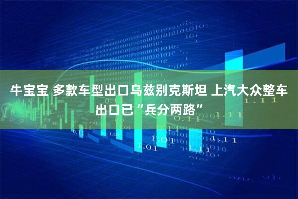 牛宝宝 多款车型出口乌兹别克斯坦 上汽大众整车出口已“兵分两路”